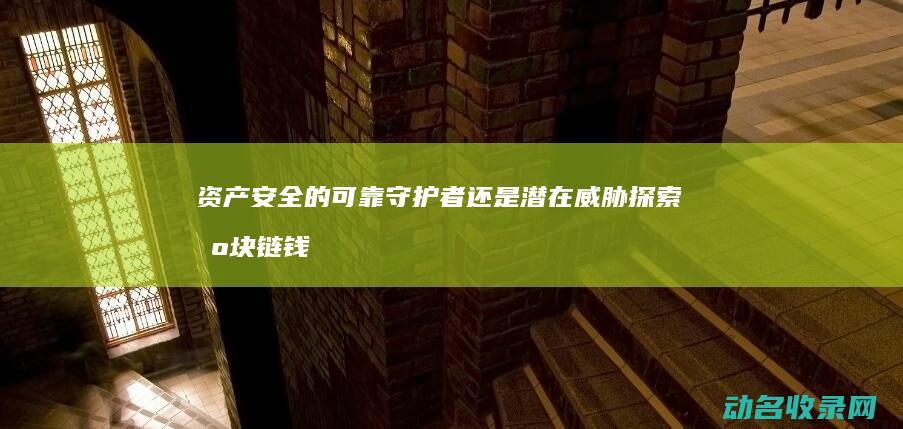 资产安全的可靠守护者还是潜在威胁 探索区块链钱包 (资产安全包括)