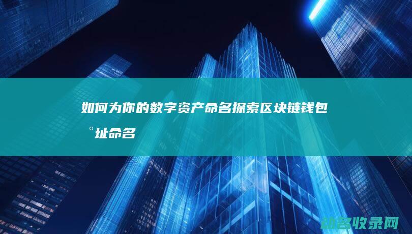 如何为你的数字资产命名 探索区块链钱包地址命名的奥秘