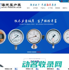 压力表厂家